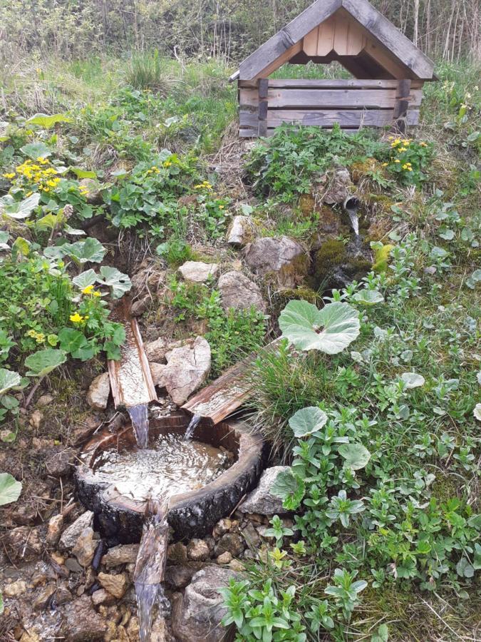 Rekreacny Dom Tyrkys Villa Poprád Kültér fotó